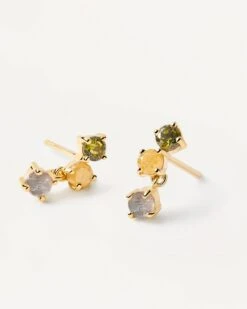 Flora Earrings -Fashion Accessories 1 AR01 543 U alt1 scaled