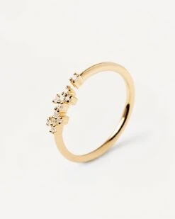 Prince Ring -Fashion Accessories 1.AN01 672 U alt1