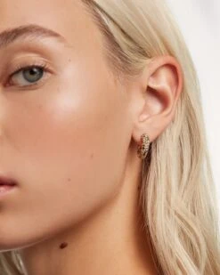 Tiger Earrings -Fashion Accessories 2 AR01 U 291 beauty3 2504761e 2ef0 4e17 aaf0 82596bc75768