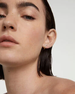 Diamonds And Gold Apollo Earrings -Fashion Accessories 2 AR05 A34 beauty1