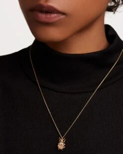 Wisdom Beetle Amulet Necklace -Fashion Accessories 2 CO01 252 U beauty3 f0738b5f d16f 4881 94df 5fe64ca05dd9 scaled