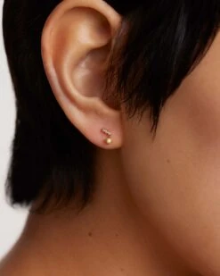 Astrid Earrings -Fashion Accessories 3 AR01 561 U beauty3 scaled