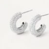 King Silver Earrings
