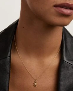 Dino Charm -Fashion Accessories 5 COMBINACION 04 beauty3 scaled