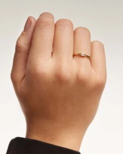 Fashion Accessories -Fashion Accessories AN01 146 2 scaled