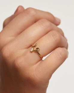 Nema Ring -Fashion Accessories AN01 153 2 scaled