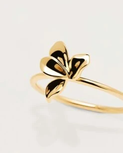 Narcise Ring -Fashion Accessories AN01 182 5 scaled