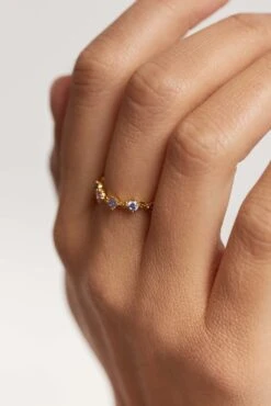 Victoria Ring -Fashion Accessories AN01 199 5 scaled