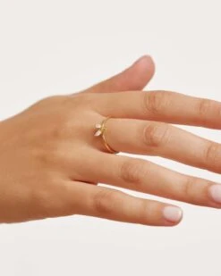 Buzz Ring 13 Buzz Ring -Fashion Accessories AN01 218 3 scaled