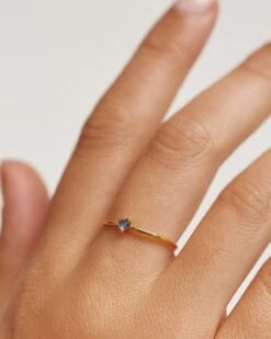 Celeste Heart Ring 12 Celeste Heart Ring -Fashion Accessories AN01 228 U grid2 8de4c873 1360 480e 8b1c 80ff3e4115ce