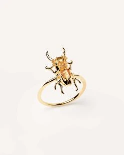 Courage Beetle Ring