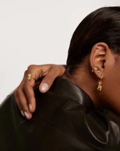 Courage Beetle Ring -Fashion Accessories AN01 375 5 scaled