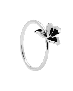 Narcise Silver Ring -Fashion Accessories AN02 182 U 8df9c676 484c 4f85 9716 92cb4e00229a