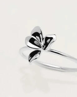 Narcise Silver Ring -Fashion Accessories AN02 182 3 scaled