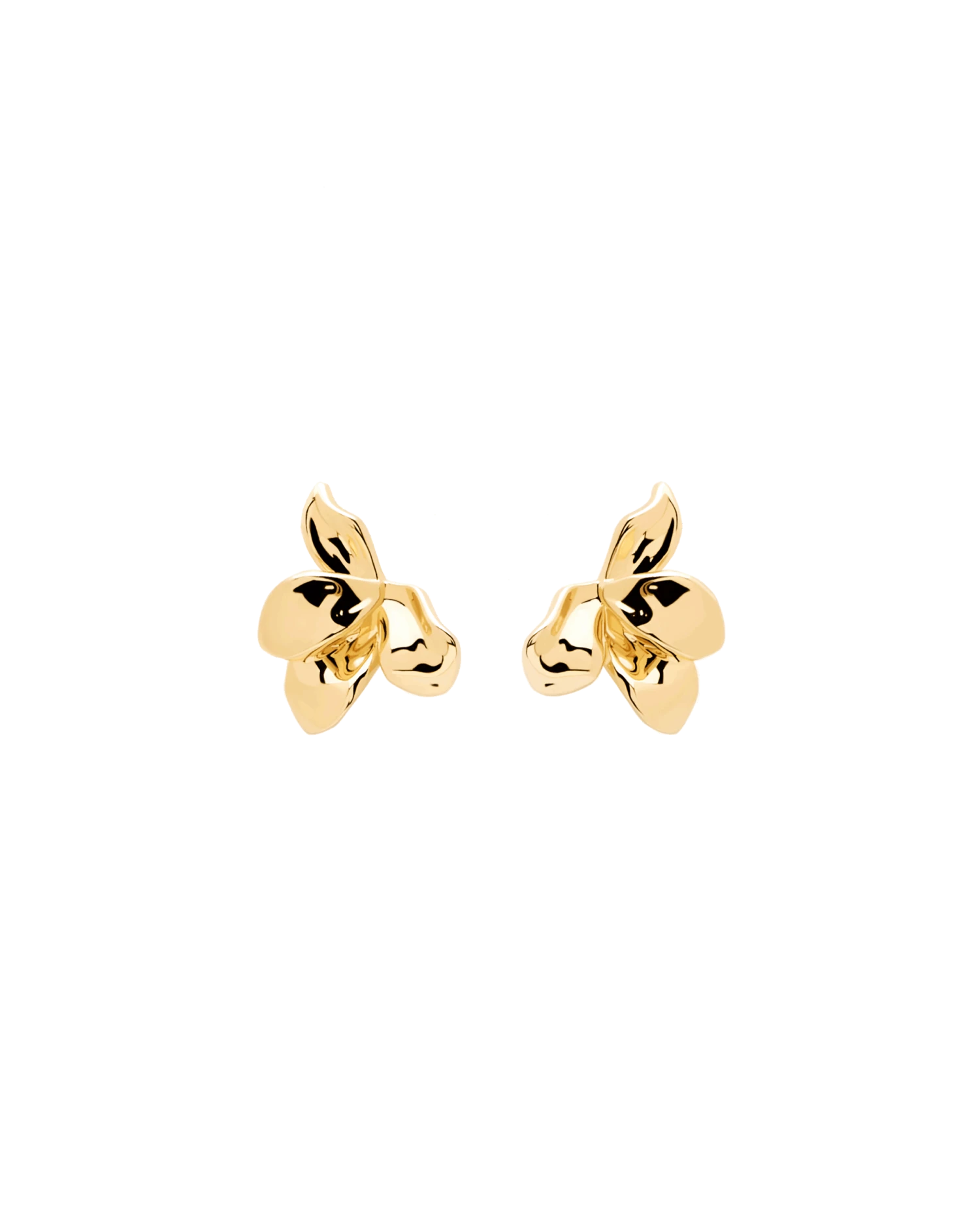 Narcise Earrings 1 Narcise Earrings