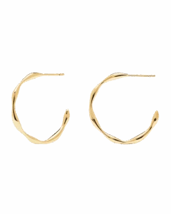 Vanilla Earrings -Fashion Accessories AR01 306 U scaled