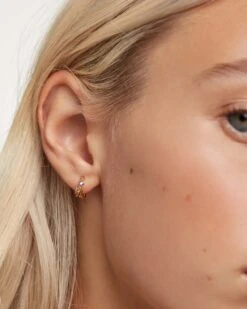 Pegasus Earrings -Fashion Accessories AR01 307 U 4 scaled