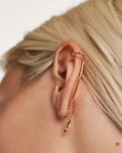 Pegasus Earrings -Fashion Accessories AR01 307 U 5 scaled