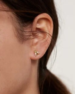 Buzz Earrings -Fashion Accessories AR01 311 U 1 scaled