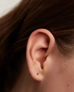 Black Essentia Silver Earrings -Fashion Accessories AR02 093 U beauty2 b73e7373 bfb9 4c19 80f6 bd9a2ab97f14