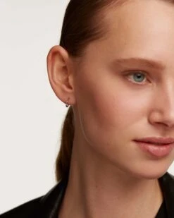 Mini Hoops Silver -Fashion Accessories AR02 130 U 0 scaled