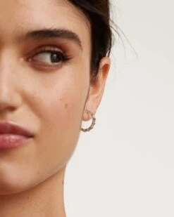 Pistil Silver Earrings -Fashion Accessories AR02 322 U 1 scaled