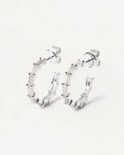 Pistil Silver Earrings -Fashion Accessories AR02 322 U 5