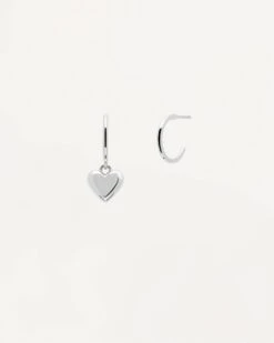 L'Absolu Silver Earrings