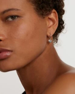 L'Absolu Silver Earrings -Fashion Accessories AR02 364 U grid2 ff28f473 d475 451b a9a3 b3b02ba6d57f