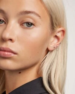 Musketeer Silver Earrings -Fashion Accessories AR02 384 U 2 scaled