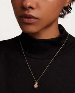 Wisdom Beetle Amulet Necklace -Fashion Accessories CO01 252 U 4 scaled