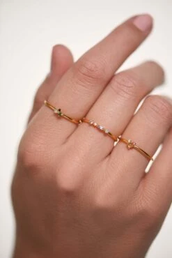 Atelier Rings Bundle -Fashion Accessories PACK 088 2 scaled