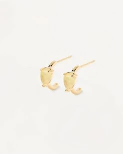 Amber Éclair Earrings