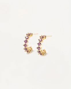 Violet Bird Earrings -Fashion Accessories PACK SERENADEEARRINGS 1